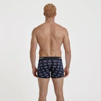 Long Polar Bear Boxer