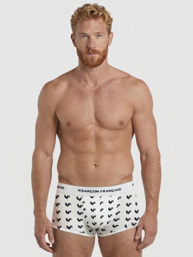 Boxer court coq gaulois