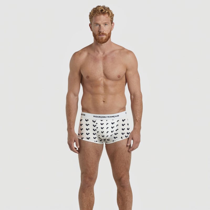 Boxer court coq gaulois