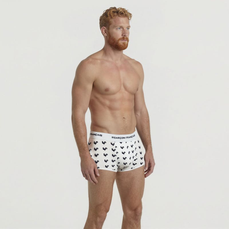 Boxer court coq gaulois