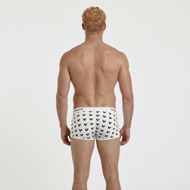 Boxer court coq gaulois