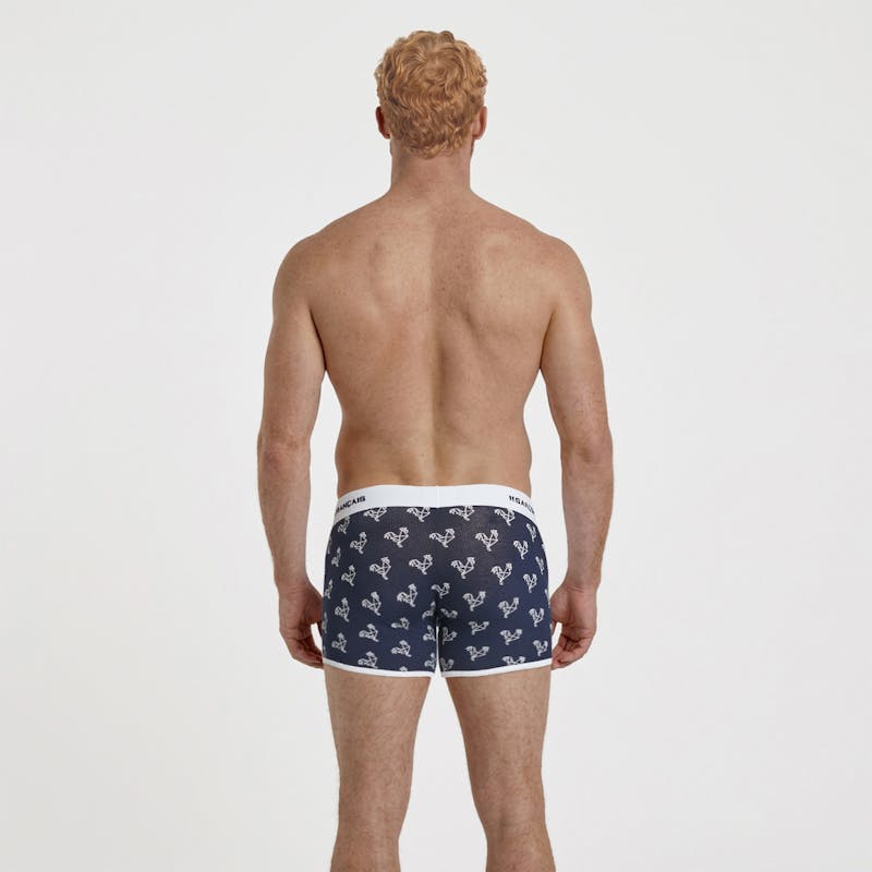 Origami white rooster boxer