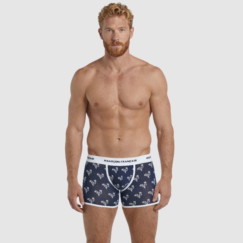 Origami white rooster boxer