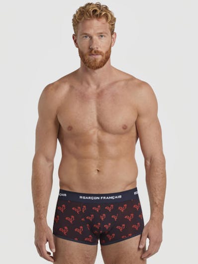 Origami red rooster trunk