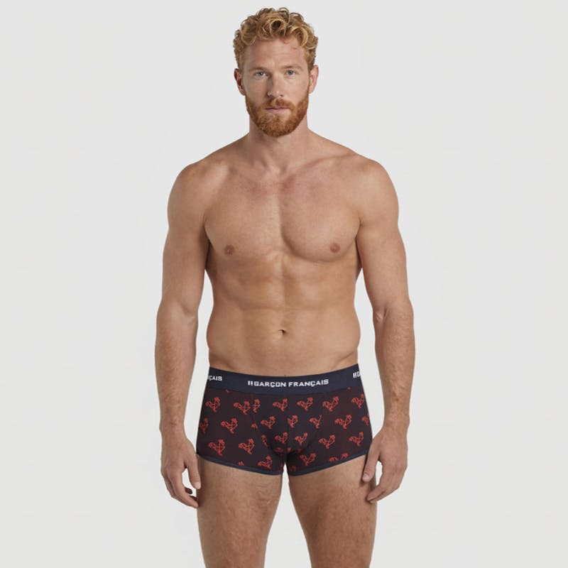 Origami red rooster trunk