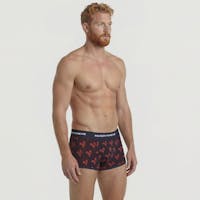 Origami red rooster trunk