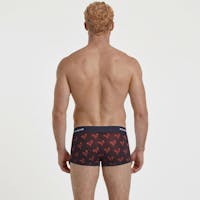 Origami red rooster trunk