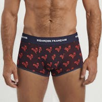 Origami red rooster trunk