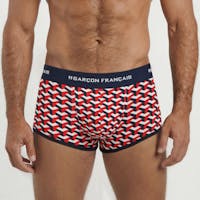 Boxer court géométrique