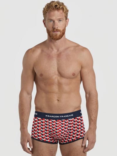 Boxer court géométrique