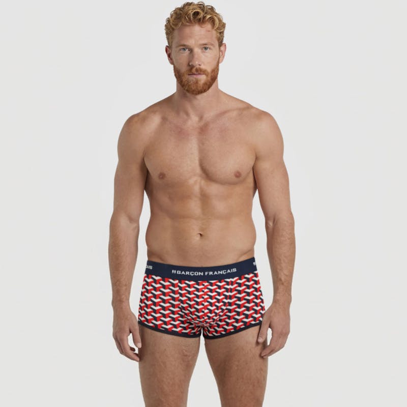 Boxer court géométrique