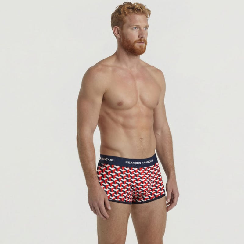 Boxer court géométrique