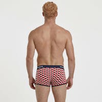 Boxer court géométrique