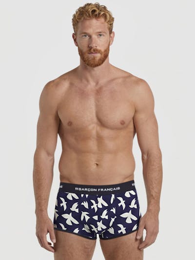 Boxer court oiseaux blancs