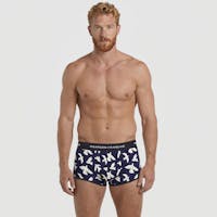 Boxer court oiseaux blancs