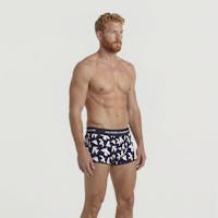 Boxer court oiseaux blancs