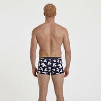 Boxer court oiseaux blancs