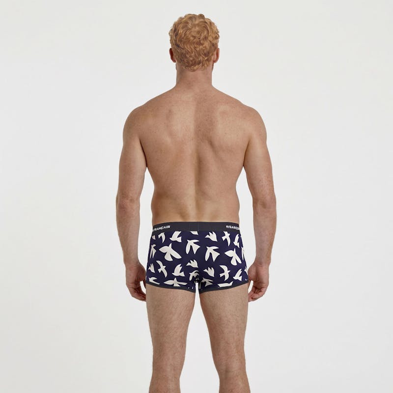 Boxer court oiseaux blancs