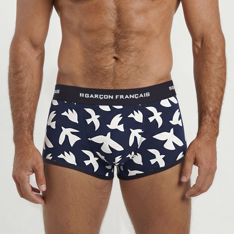 Boxer court oiseaux blancs