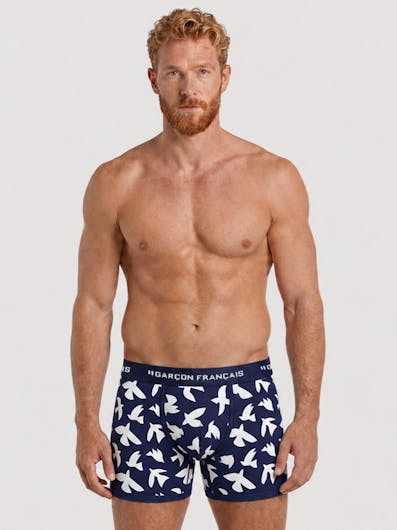 Boxer classique oiseaux blancs