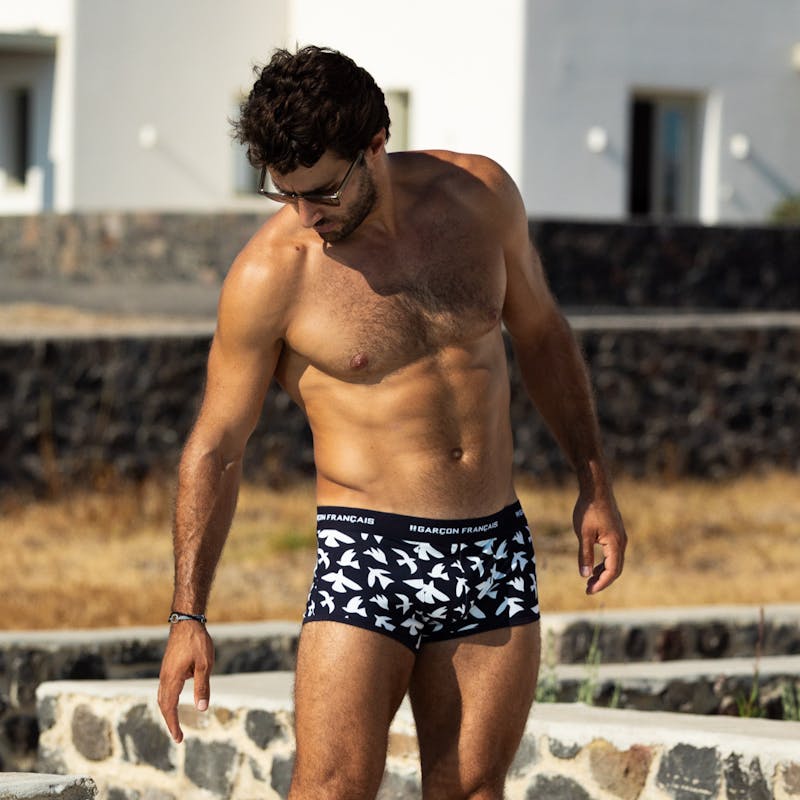 Boxer court oiseaux blancs