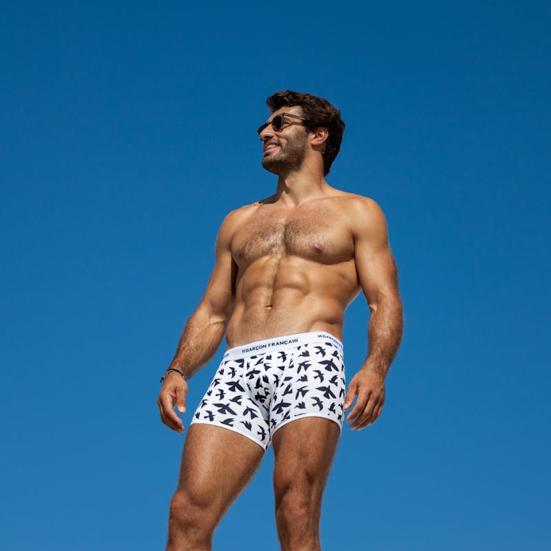 Boxer classique oiseaux bleus