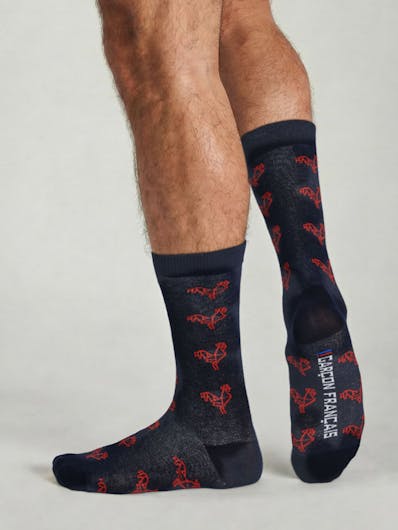 Origami red rooster socks