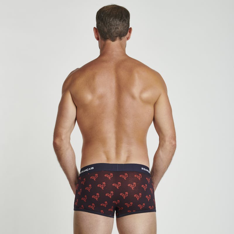 Origami red rooster trunk