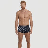 Anchor Trunk