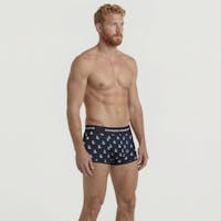 Anchor Trunk