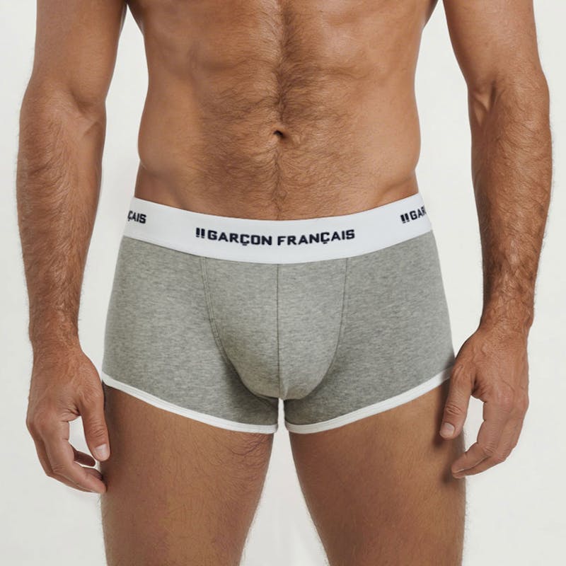 Boxer court gris
