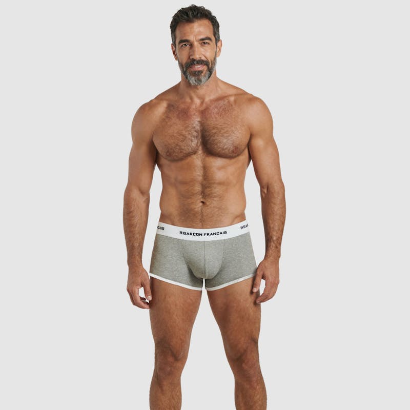 Boxer court gris