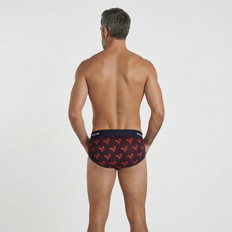 Slip Origami Gallo Rojo