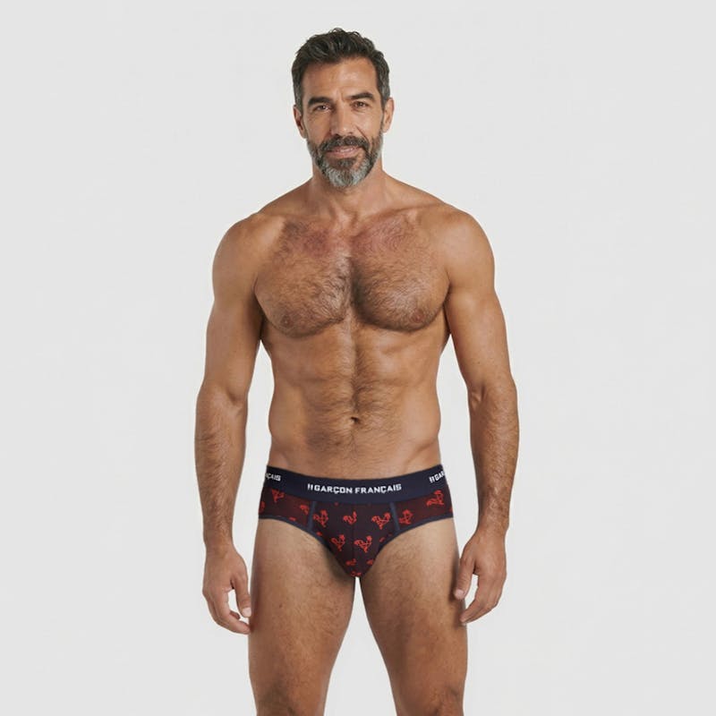 Slip Origami Gallo Rojo