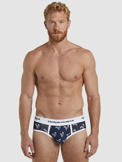 Origami white rooster brief