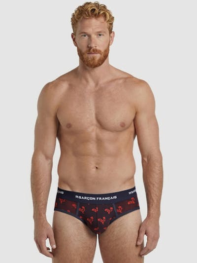 Origami red rooster brief