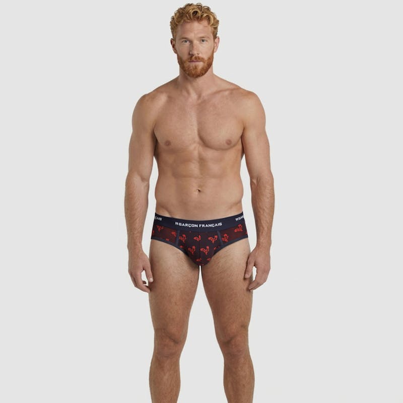 Origami red rooster brief
