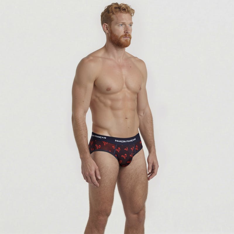 Origami red rooster brief