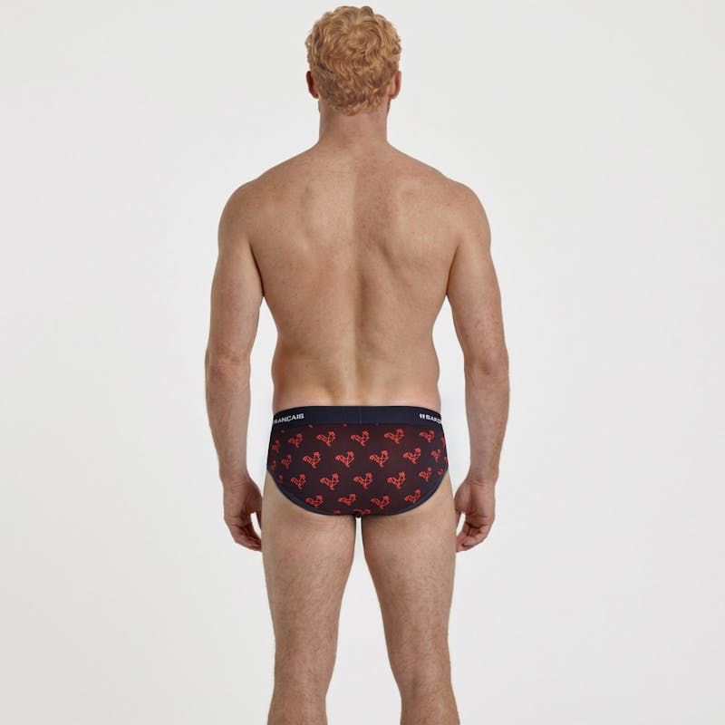 Origami red rooster brief