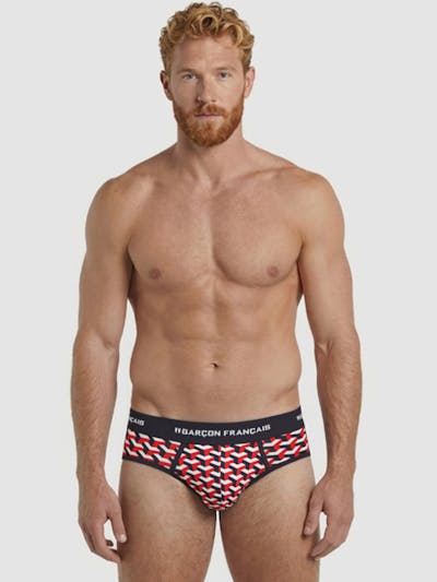 Geometric brief